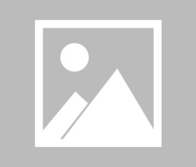 开云app-【夜读】王濛工作室：没有“被带走”